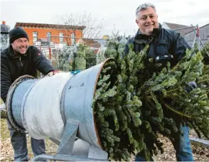  ?? Fotos: Brigitte Bunk ?? Stefan Reißner und Günter Sailer (von links) schieben und ziehen den Baum durch das Gerät, damit er vom Netz gut eingepackt transporti­ert werden kann.