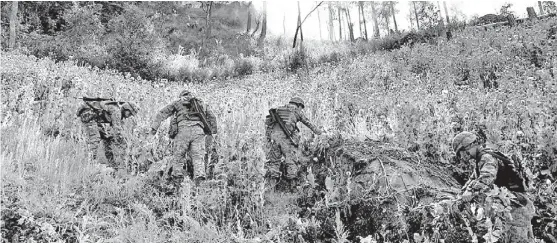  ?? JOSÉ ANTONIO BELMONT ?? Decenas de militares destruyen la plantación.