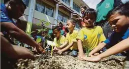  ??  ?? SEBAHAGIAN daripada murid yang menyertai Program Kebun Dapur di SK Tropicana, Petaling Jaya.