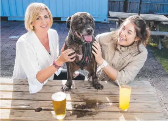  ?? Picture: JERAD WILLIAMS ?? Taryn Poole, Ashlee Thomas and staffy Marley look forward to Tails and Ales.