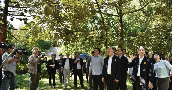  ??  ?? Commerce Minister Sontirat Sontijiraw­ong (third right) and the media visit a durian orchard in Chanthabur­i province.