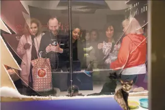  ?? Santiago Mejia / Special to The Chronicle 2015 ?? Visitors check out kittens at Macy’s in 2015. This season, people can choose their favorites by watching videos at the landmark store in San Francisco’s Union Square through Jan. 3.