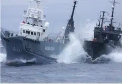  ?? INSTITUTE OF CETACEAN RESEARCH / THE ASSOCIATED PRESS FILES ?? Sea Shepherd’s ship the Bob Barker, right, and a Japanese whaling ship collide off Antarctica in 2010.