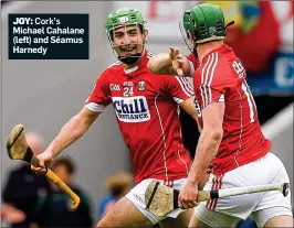  ??  ?? JOY: Cork’s Michael Cahalane (left) and Séamus Harnedy