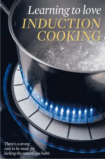 Learning to Love an Induction Stove