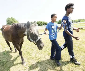  ??  ?? kids in the detroit horse Power program learn empathy and perseveran­ce.