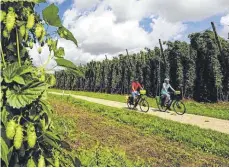  ?? FOTO: DPA ?? Die 244 Kilometer lange Niederbaye­rntour wurde neu ausgeschil­dert. Sie führt von Passau nach Regensburg.