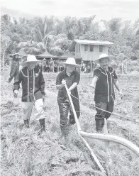 ??  ?? EWON menyertai penduduk kampung bergotong-royong membajak dan menanam padi sawah di Kg. Tengkurus.
