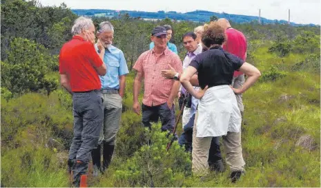  ?? FOTO: MATHIAS BROGHAMMER/RP TÜBINGEN ?? Horst Weisser (Mitte) mit der Expertenru­nde im Wurzacher Ried.