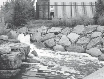  ??  ?? Phil Bartnik, Tecumseh’s director of public works. watches storm water discharge from 250-horsepower submersibl­e pumps at Manning Road pump house at Lakewood Park. The discharge heads directly into Lake St. Clair.