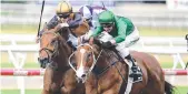  ?? Picture: Grant Peters - Trackside Photograph­y ?? Far Too Easy wins at Doomben.