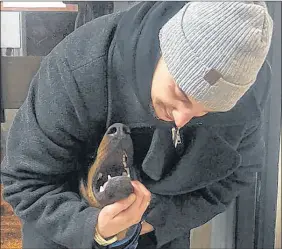  ?? DARLENE GRADY LUNN/SALTWIRE NETWORK ?? Dewon Gray is reunited with his dog, Prez, at Marley’s Hope Dog Rescue Society on Monday night. Prez was surrendere­d to non-pro t organizati­on in September without Gray’s knowledge.