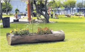  ?? ALONSO TENORIO ?? Jardineras con flores fueron colocadas en varios puntos. El Ayuntamien­to intervino con árboles, diseño e iluminació­n.