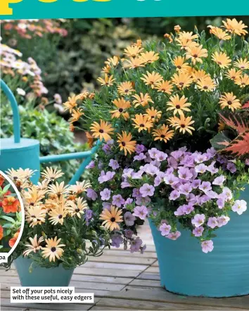  ??  ?? Set off your pots nicely with these useful, easy edgers
