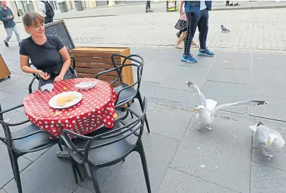  ?? Picture: Dougie Nicolson. ?? Pancake Place manager Sam Wilson with a pair of the city centre gulls.