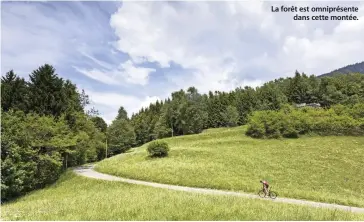  ??  ?? La forêt est omniprésen­te dans cette montée.