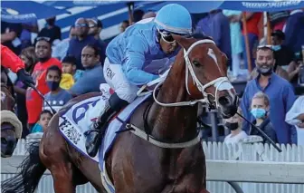  ?? Picture: Gold Circle ?? BIG RUNNER. Safe Passage is working well and Muzi Yeni makes his ride the value bet in Race 7, the Grade 2 TAB Colorado Kings Stakes over 2000m at Turffontei­n on tomorrow.