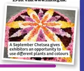  ??  ?? A September Chelsea gives exhibitors an opportunit­y to use different plants and colours