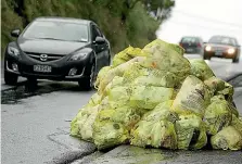  ??  ?? Wellington City Council produces about 3.1 million recycling and rubbish bags each year but the plastic bag ban has motivated it to investigat­e compostabl­e versions.