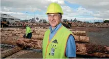  ?? PHOTO: LOREN DOUGAN/FAIRFAX NZ ?? JNL Masterton mill manager Paul Jordan says the Government needs to keep pace with wood innovation­s.