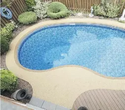  ?? The holmes group ?? Duraroc has a rubber surfacing material that is mould-resistant, mildew-resistant and that can be applied over almost any type of surface, which makes
it a very good solution for worn pool decks.