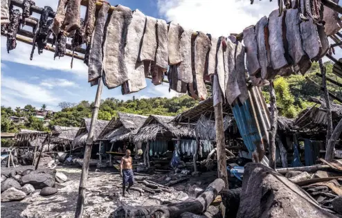  ??  ?? ABOVE: Strips of fish and whale meat drying in the sun outside a row
of boat houses in Lamalera
IMAGE: Claudio Sieber