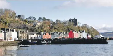  ??  ?? Tobermory Harbour Associatio­n had been ‘heavily involved in making sure the community’s interests were heard.