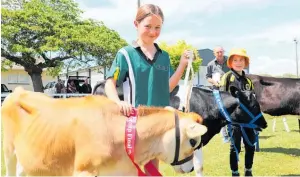  ?? ?? Ava Hapeta-Colling, from O¯ hau School, with Gingerbrea­d who won several ribbons.