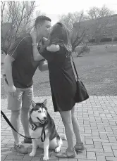  ?? University of Connecticu­t via AP ?? University of Connecticu­t mascot Jonathan, a Siberian husky, assists Daniel Bronko in proposing to his girlfriend, Holly Korona, on Monday at the school’s campus in Storrs, Conn. Bronko surprised her with a ring that had been attached to Jonathan’s...