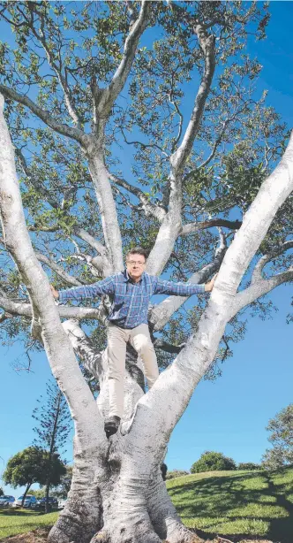  ?? Picture: GLENN HAMPSON ?? State MP Rob Molhoek is prepared to chain himself to a tree if necessary to save Carey Park from developmen­t.