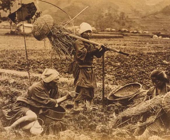  ?? MATHIEU RAVAUX / RMN-GRAND PALAIS ?? SOCIEDAD RURAL
Antes de la era Meiji, la sociedad japonesa tenía un carácter muy jerarquiza­do y estamental. Arriba, campesinos durante la cosecha, hacia 1880.