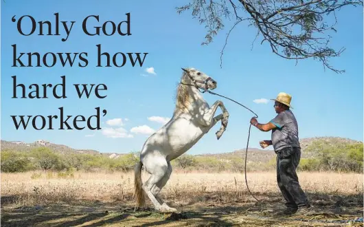  ?? MARIAN CARRASQUER­O/THE NEW YORK TIMES ?? Javier Hernandez exercises his horse, Paloma, on Feb. 13 in Guadalupe de Cisneros in Mexico. Hernandez and his wife, Irma, spent years in the U.S.