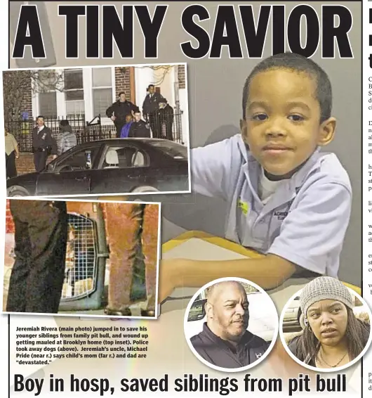  ??  ?? Jeremiah Rivera (main photo) jumped in to save his younger siblings from family pit bull, and wound up getting mauled at Brooklyn home (top inset). Police took away dogs (above). Jeremiah’s uncle, Michael Pride (near r.) says child’s mom (far r.) and...