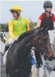  ??  ?? Miss Exfactor, ridden by Jim Byrne, after her Coast win.