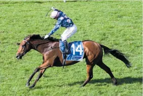  ?? Photo / Trish Dunell ?? Sam Collett salutes as Glory Days wins the Auckland Cup.