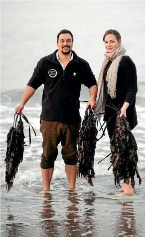  ??  ?? Tane and Clare Bradley collect seaweed. Seaweed is the source of a wide range of minerals, vitamins, proteins, amino acids and other naturally occurring compounds.