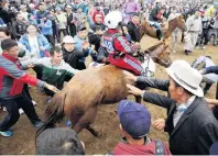  ?? PHOTO: REUTERS ?? Crowd participat­ion . . . Viewers reach for the foam on a horse for good luck after the Soyolon horse race at the Mongolian traditiona­l Naadam festival earlier this month.