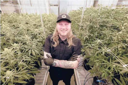  ?? PAUL SANCYA/AP PHOTOS ?? Jonny Griffis, chief operating officer of True North Collective, in Jackson, Michigan. Griffis has invested millions of dollars in his legal marijuana farm.