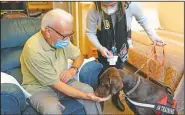  ??  ?? Kida, a chocolate Labrador, visits with Sal Gonzales, 79, in his room at The Hebrew Home.