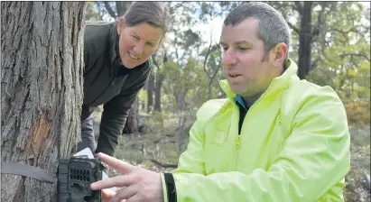  ??  ?? WATCHFUL EYE: Stawell Urban Landcare Group treasurer Julie Andrew watches on as group president John Pye checks a camera set up to gauge feral and wild animals.