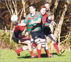  ?? Photograph­s: Stephen Lawson. ?? Owen McDonald offloads.