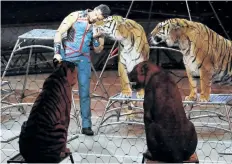  ?? THE ASSOCIATED PRESS FILES ?? Big cat trainer Alexander Lacey hugs one of the tigers during the final show of the Ringling Bros. and Barnum & Bailey Circus in Uniondale, N.Y. Georgia officials said a Bengal tiger owned by Lacey was shot and killed after it escaped from a truck in...