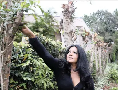  ?? PICTURE: DOCTOR NGCOBO/AFRICAN NEWS AGENCY (ANA) ?? Roseanne Narandas of Westville poses next to her garden trees that were chopped off by her neighbour.