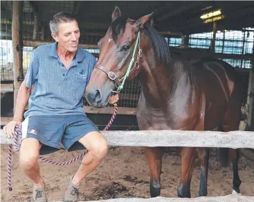  ?? Picture: JUSTIN BRIERTY ?? GOOD TO GO: Trainer Alwyn Bailey with Ranked on course at Cannon Park yesterday. The Irish horse will have his second start in the Far North this afternoon in Townsville.