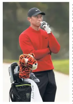  ?? REUTERS ?? True legend: It is difficult to remain unmoved by Tiger Woods’s matter-of-fact tone: “To see some of my shots fall out of the sky a lot shorter than they used to, that’s a little eye-opening.”