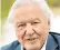  ??  ?? The 2018 diary for Sir David Attenborou­gh is ‘already looking full’, according to the popular naturalist