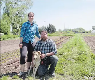  ?? TIFFANY MAYER SPECIAL TO THE ST. CATHARINES STANDARD ?? Amanda and Ryan Thiessen with their dog Muskwa. The lettuce patch behind them is planted with 1,400 heads, some of which the couple will donate to Community Care of St. Catharines and Thorold.