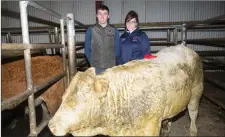  ??  ?? Owners of the champion Charolaise Bull at the show and sale at Gortatlea, Ian Santry and Denise O’Donovan.