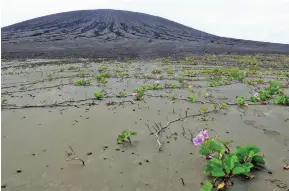  ?? Photo: Dan Slayback ?? Vegetation growing on the new Tongan island.