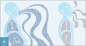  ?? (Pics sourced from internet) ?? The Papworth method involves using your nose and diaphragm to develop breathing patterns.